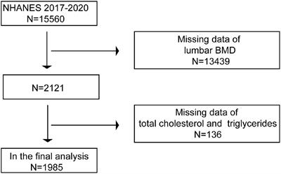 High cholesterol and low triglycerides are associated with total lumbar bone mineral density among adults aged 50 years and over: The NHANES 2017–2020